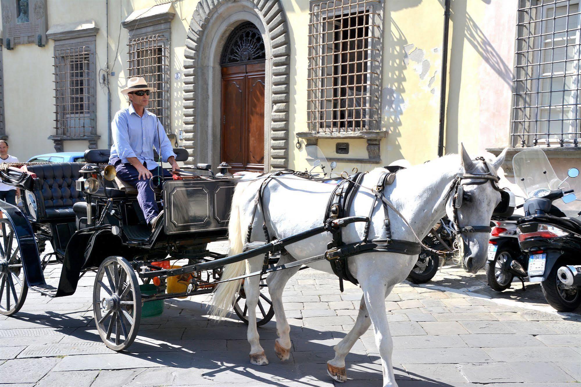Dimora Dei Guelfi Luxury Rooms Lucca Dış mekan fotoğraf